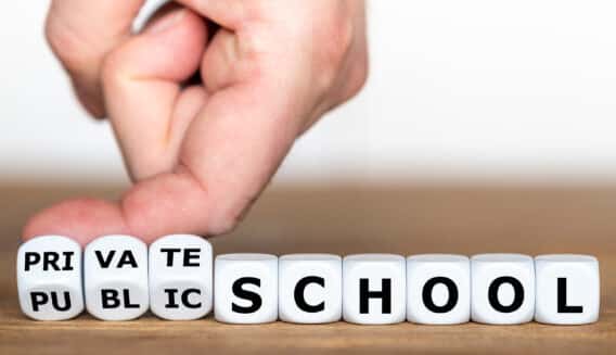 Private or public school? Hand turns dice and changes the expression "public school" to "private school".