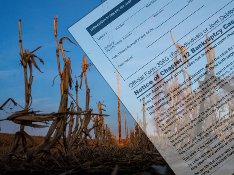 A semi-transparent legal document is diagonally overlaid on a photograph of dry, brown corn stalks in a harvested field under a clear blue sky. The document prominently displays the text "Official Form 309G" and "Notice of Chapter 12 Bankruptcy Case." This composite image visually represents the concept of agricultural or farm bankruptcy.