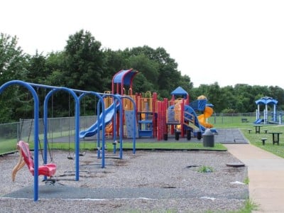 A colorful outdoor playground features a blue swing set in the foreground with a prominent red adaptive swing. A dense line of green trees borders the park under a bright, overcast sky.