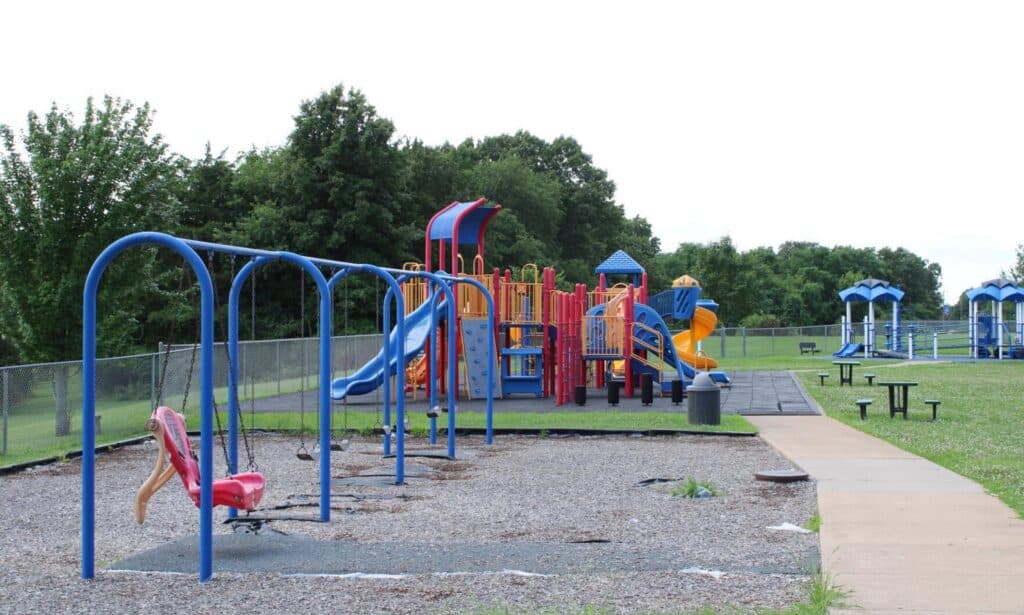 A colorful outdoor playground features a blue swing set in the foreground with a prominent red adaptive swing. A dense line of green trees borders the park under a bright, overcast sky.