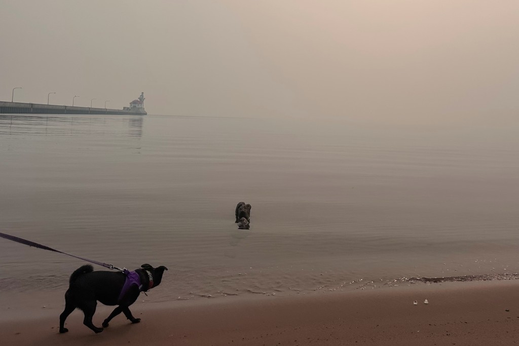 A leashed dog walks along a beach as another stands in shallow water, with a pier and lighthouse shrouded in thick wildfire haze.