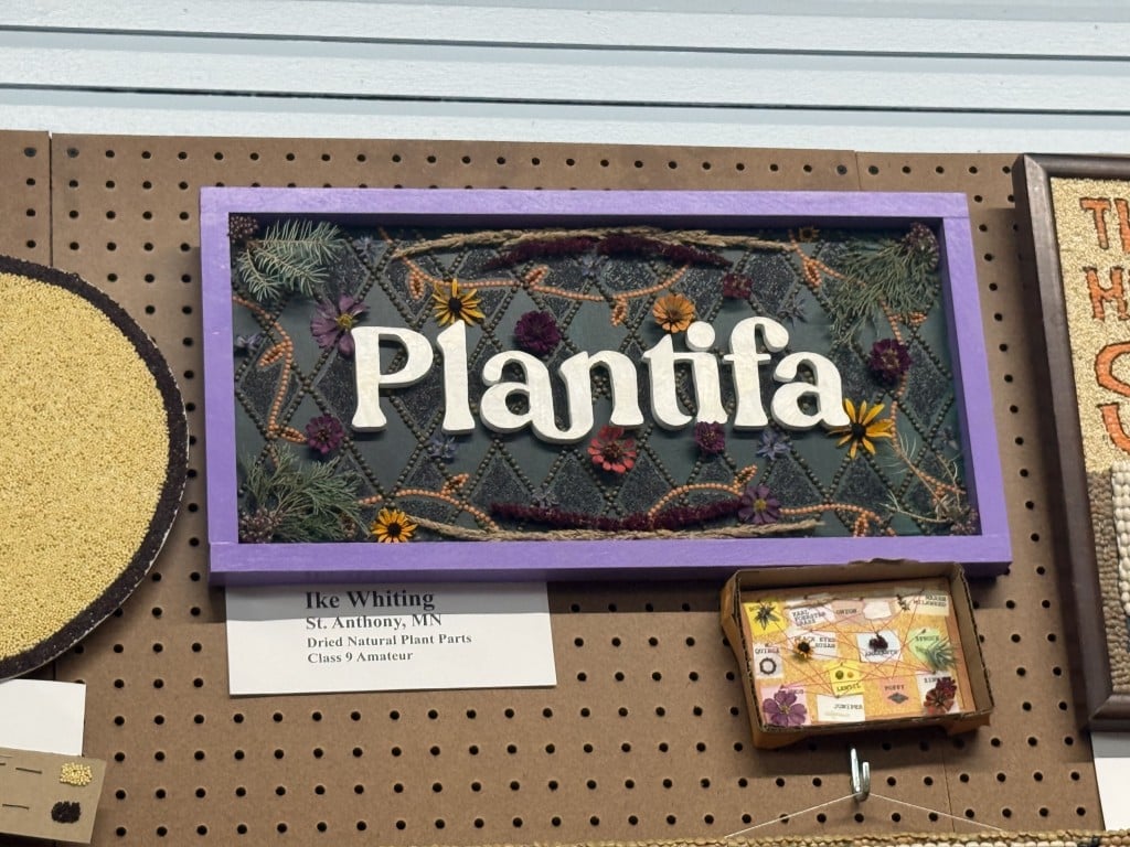 Seed art made from dried plants and flowers spelling out "Plantifa" inside a purple frame.