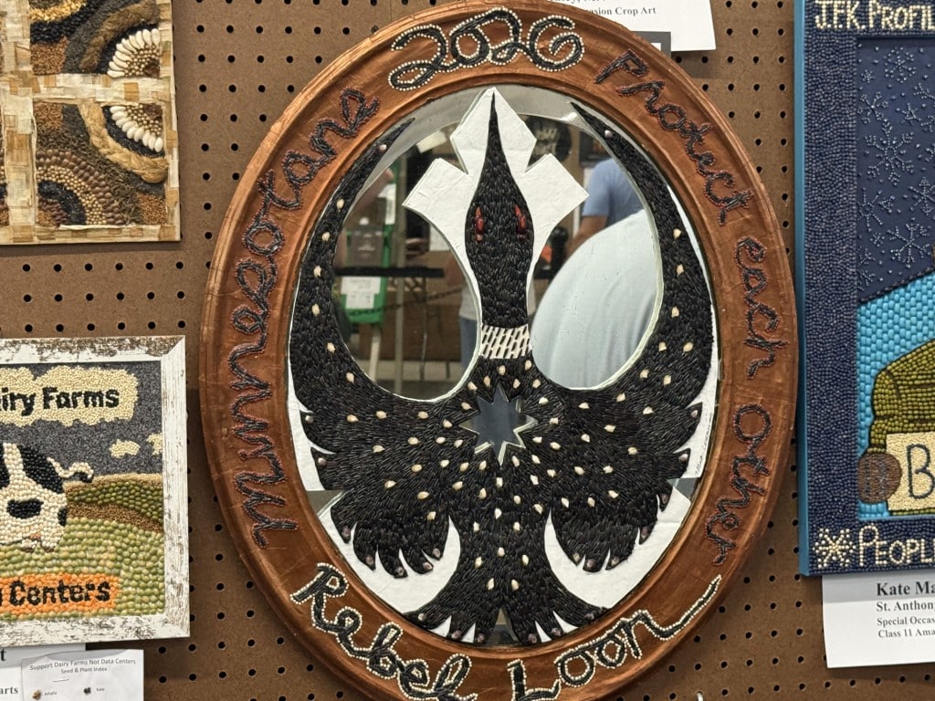 Oval mirror seed art featuring a loon shaped like the Star Wars Rebel emblem with "Rebel Loon" and "Protect each other."