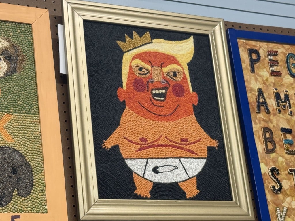 Seed art depicting a caricature of Donald Trump as a crying baby wearing a diaper and a crown.