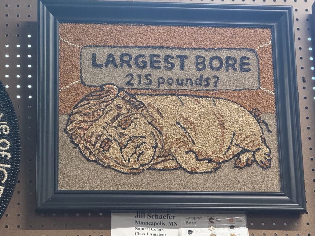 Seed art of a sleeping boar with a caricature face below text reading "LARGEST BORE 215 pounds?"