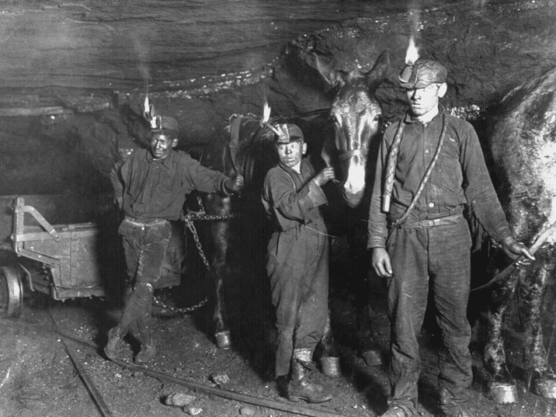 Three young coal miners with headlamps stand inside a dark mine tunnel alongside a mule.