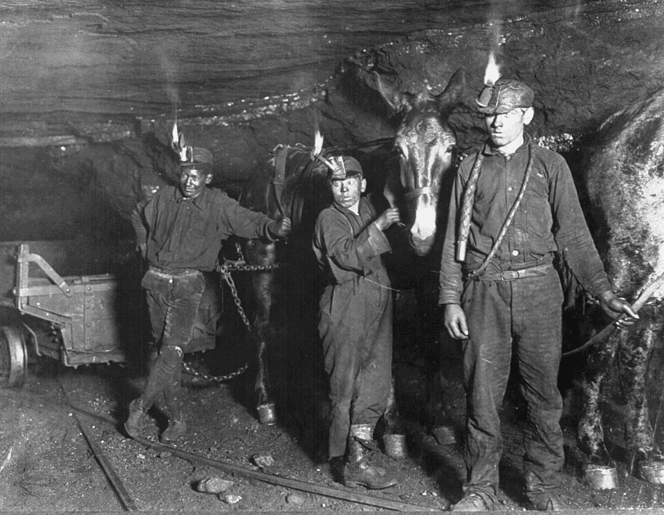 Three young coal miners with headlamps stand inside a dark mine tunnel alongside a mule.