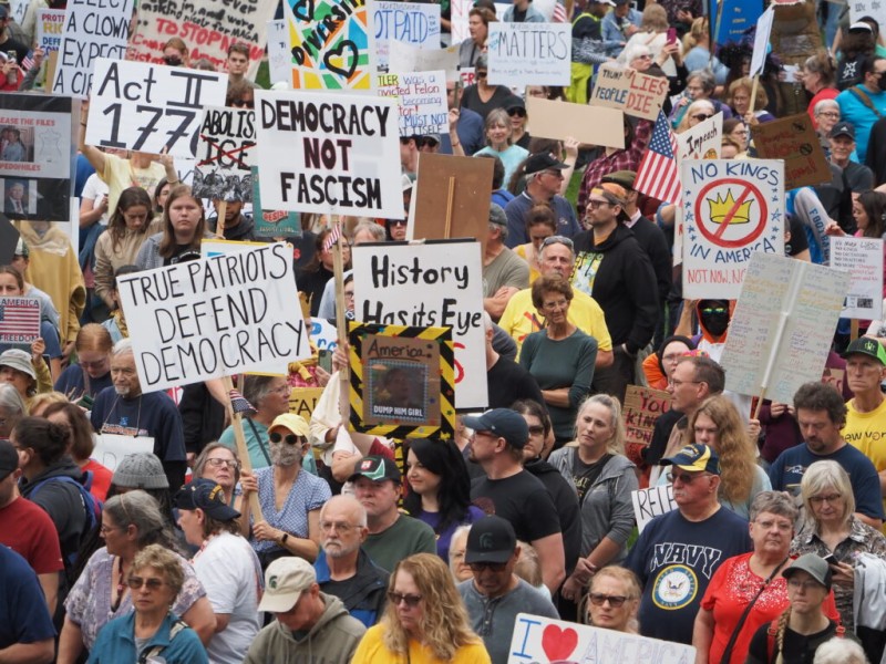 Demonstrators hold signs reading "Democracy Not Fascism," "True Patriots Defend Democracy" and "No Kings in America."